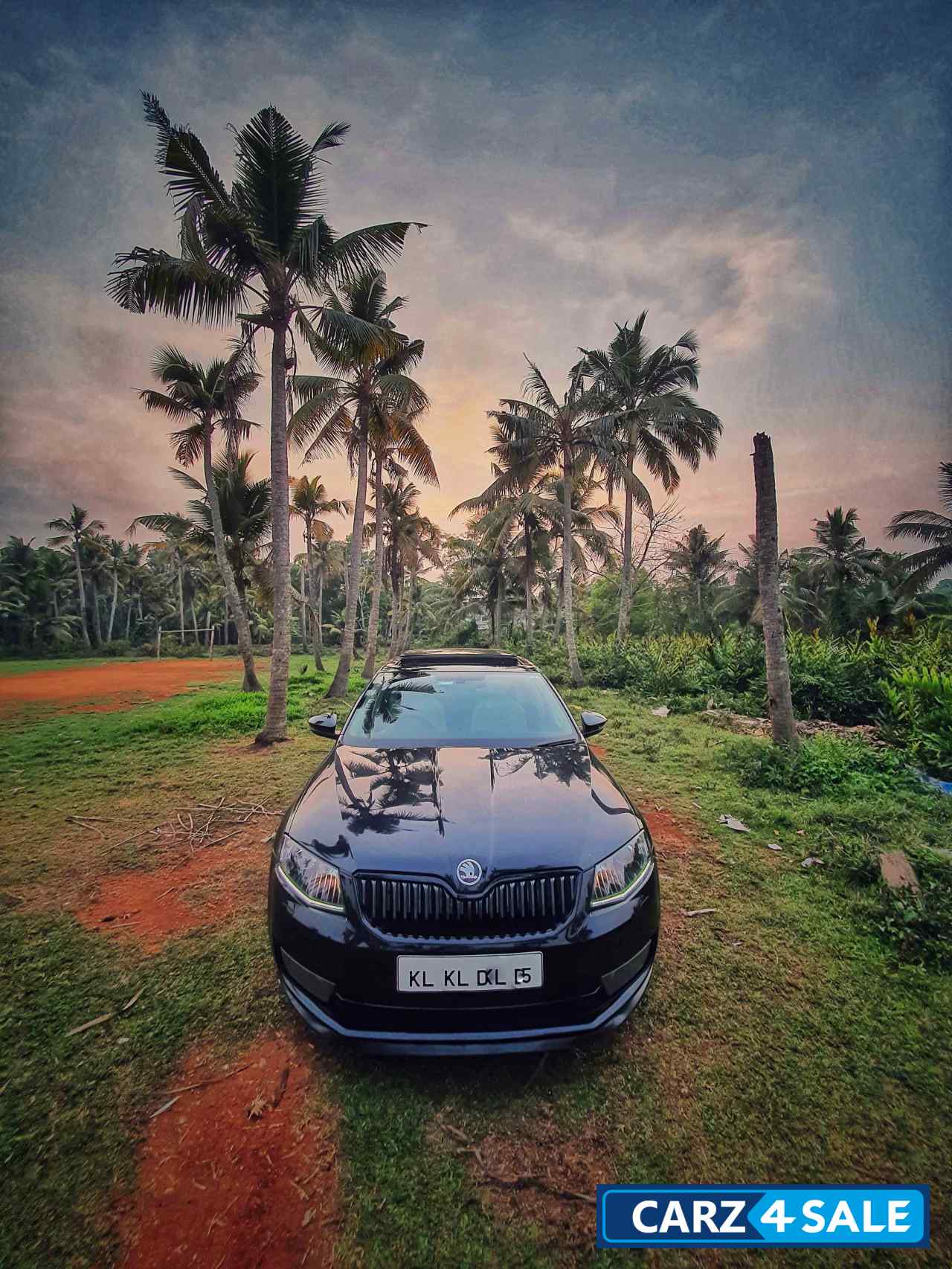 Black Skoda Octavia