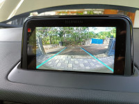 Grassland Beige Tata Nexon Kraz Plus Petrol AMT