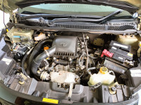 Grassland Beige Tata Nexon Kraz Plus Petrol AMT