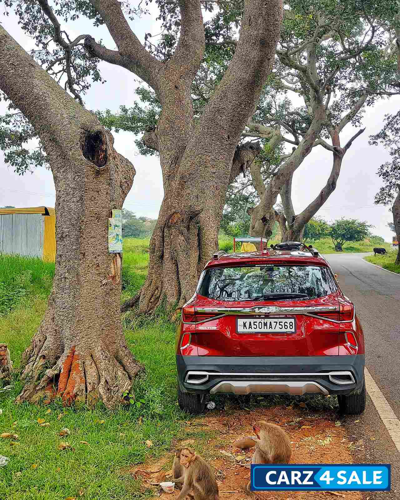 Kia Seltos HTX IVT Petrol Automatic