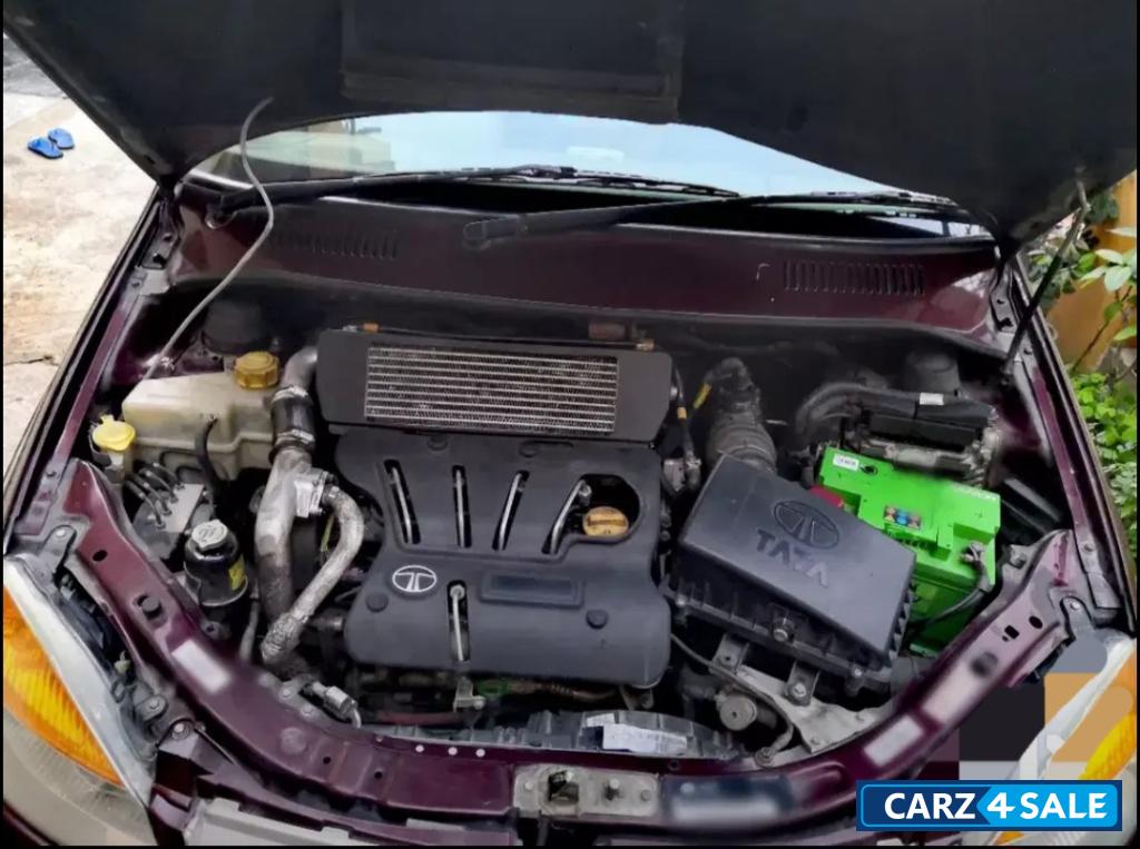 Beige Tata Indigo ecs