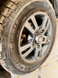 Arizona Blue Tata Hexa XTA