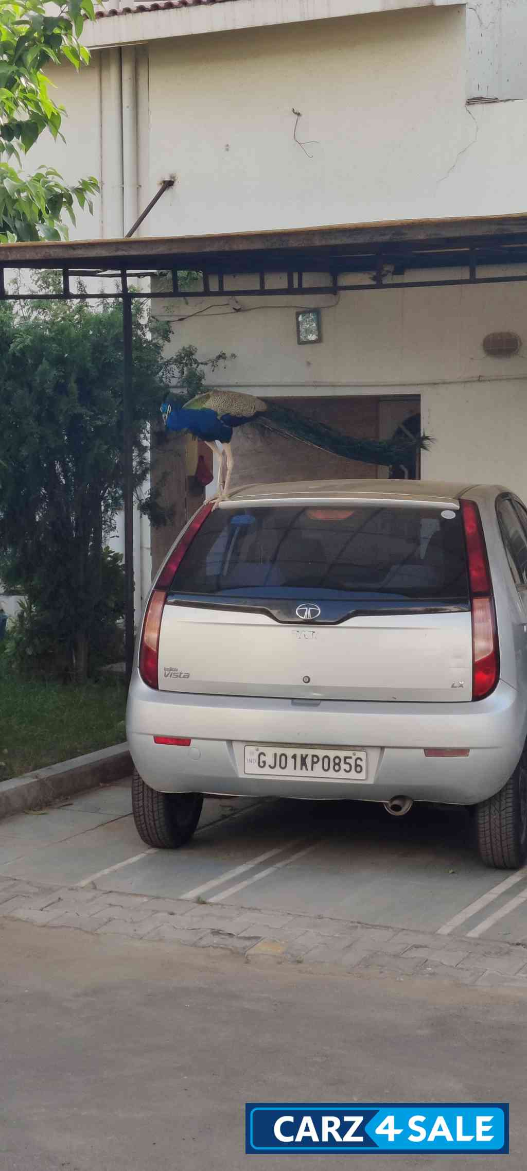 Tata Vista Tech LX Quadrajet