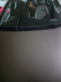 Metallic Gold Fiat Linea T JET PLUS