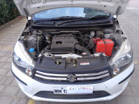 Pearl Arctic White Maruti Suzuki Celerio Vxi CNG Green