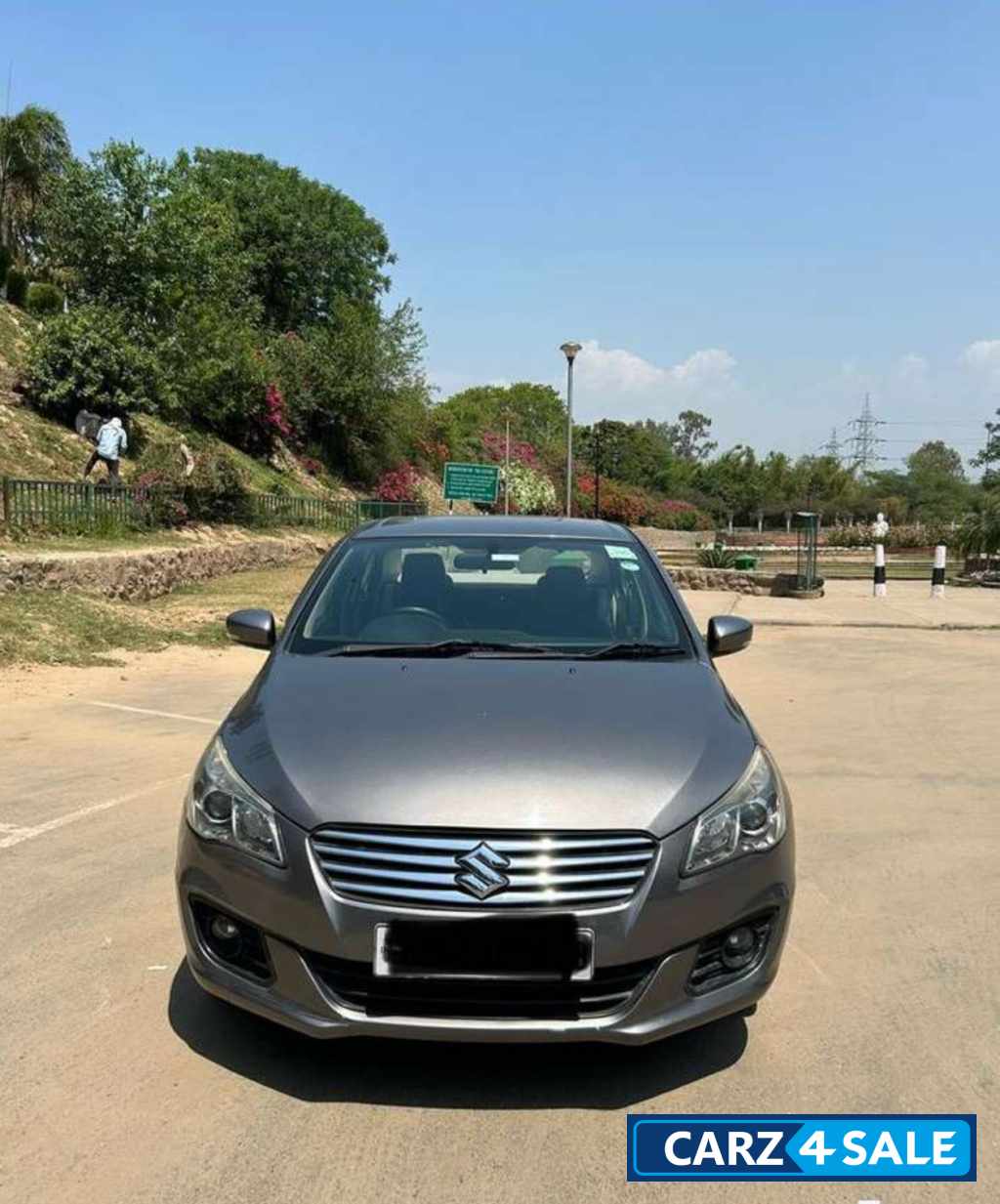Grey Maruti Suzuki Ciaz Delta petrol