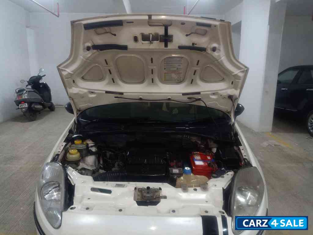 White Fiat Punto Active 1.2