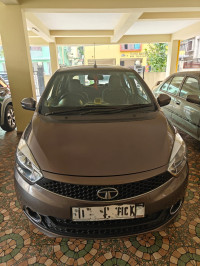 Espreso Brown Tata Tiago XZ