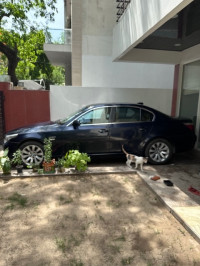 Blue BMW 5-Series 525i