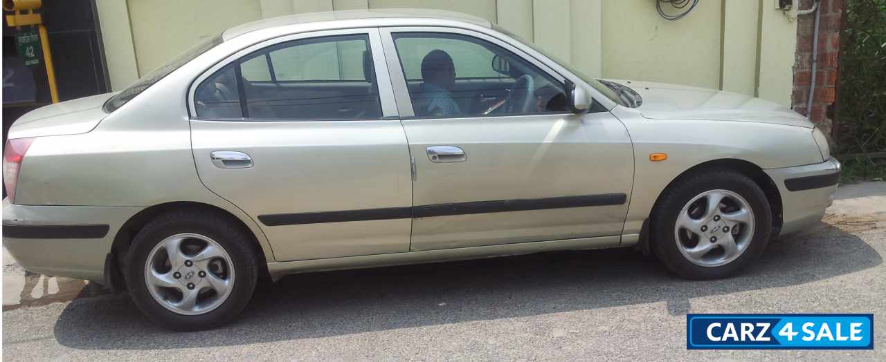 Euro Gold Hyundai Elantra