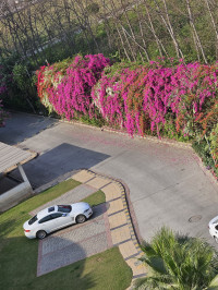 Silver White Jaguar XF 2.2 Diesel