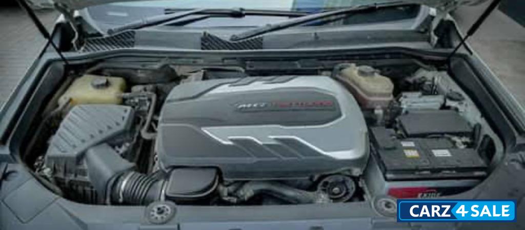 Black MG Gloster Savvy