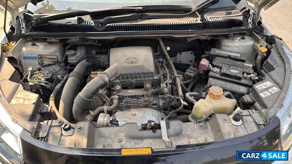 White Tata Nexon Xz+ HS