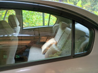 Silky Silver Maruti Suzuki SX4 ZXI AT BS IV