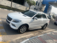 Mercedes-Benz ML-Class 250 CDI