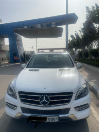 Mercedes-Benz ML-Class 250 CDI