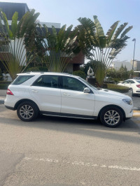 Mercedes-Benz ML-Class 250 CDI