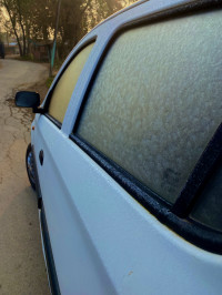 White Maruti Suzuki Alto 800