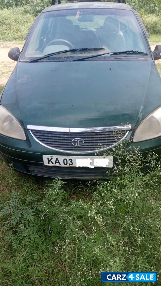 Palm Green Tata Indica Xeta