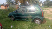 Palm Green Tata Indica Xeta