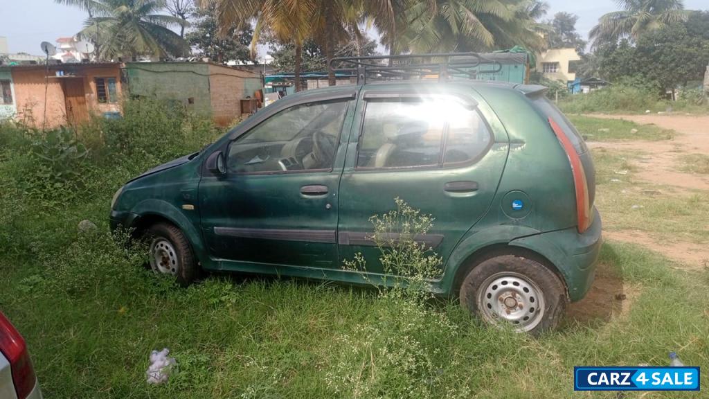 Palm Green Tata Indica Xeta