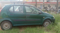 Palm Green Tata Indica Xeta