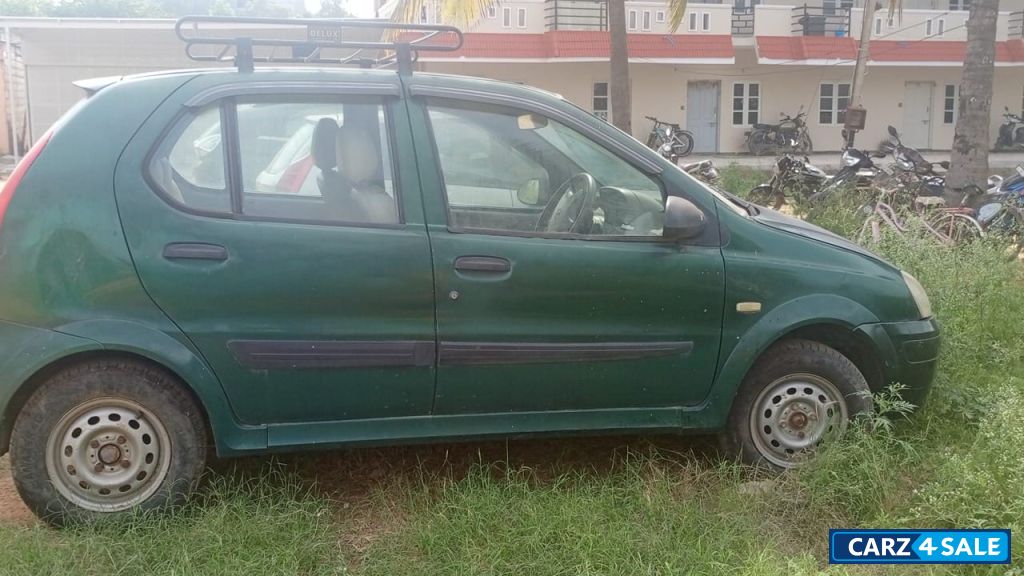 Palm Green Tata Indica Xeta