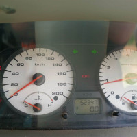 Palm Green Tata Indica Xeta