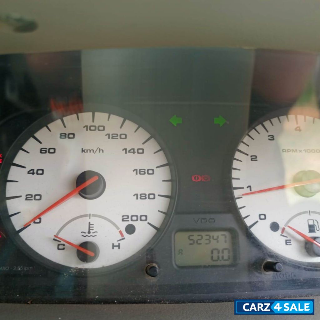 Palm Green Tata Indica Xeta