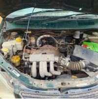 Palm Green Tata Indica Xeta