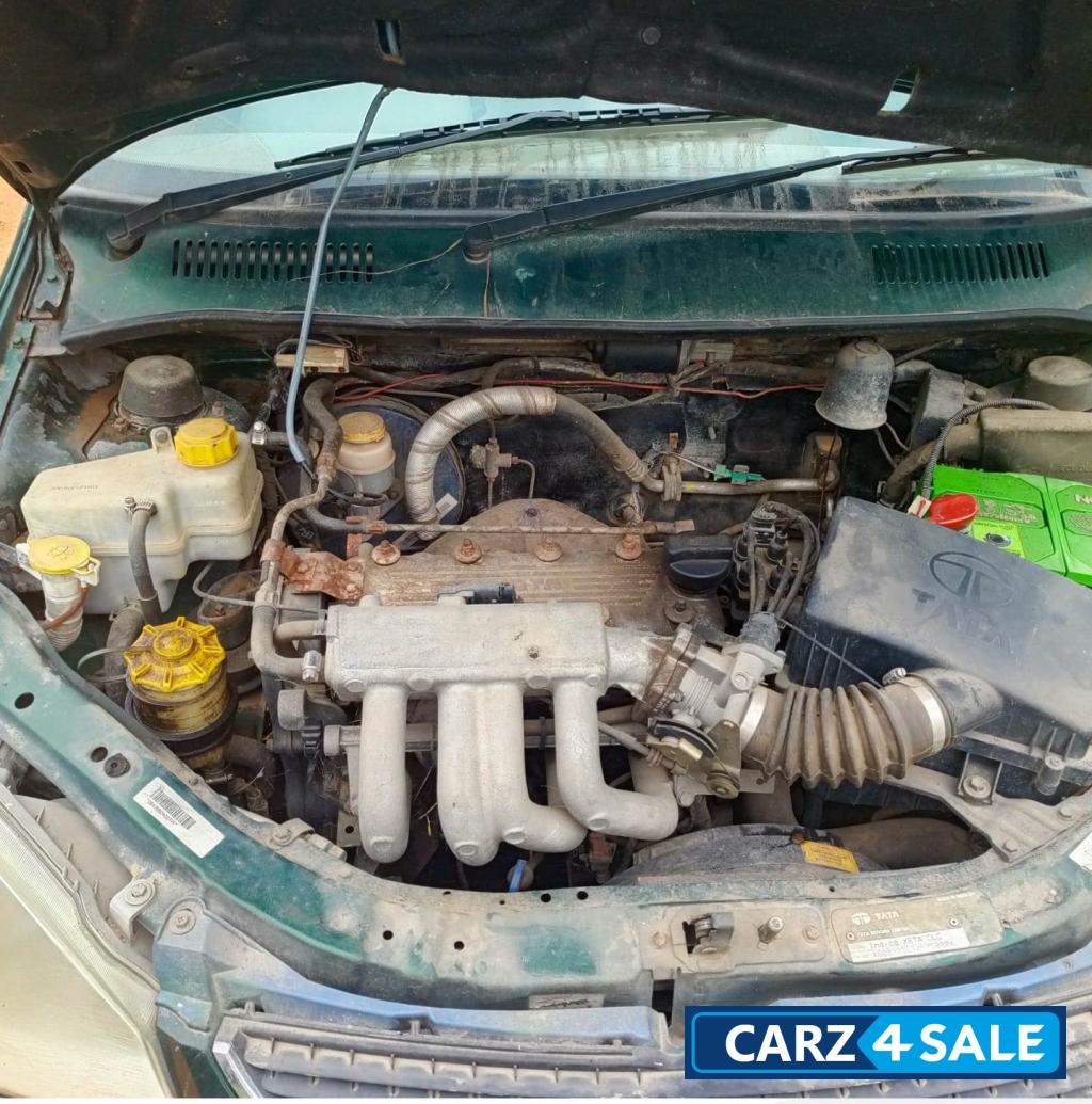 Palm Green Tata Indica Xeta