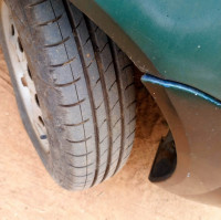 Palm Green Tata Indica Xeta
