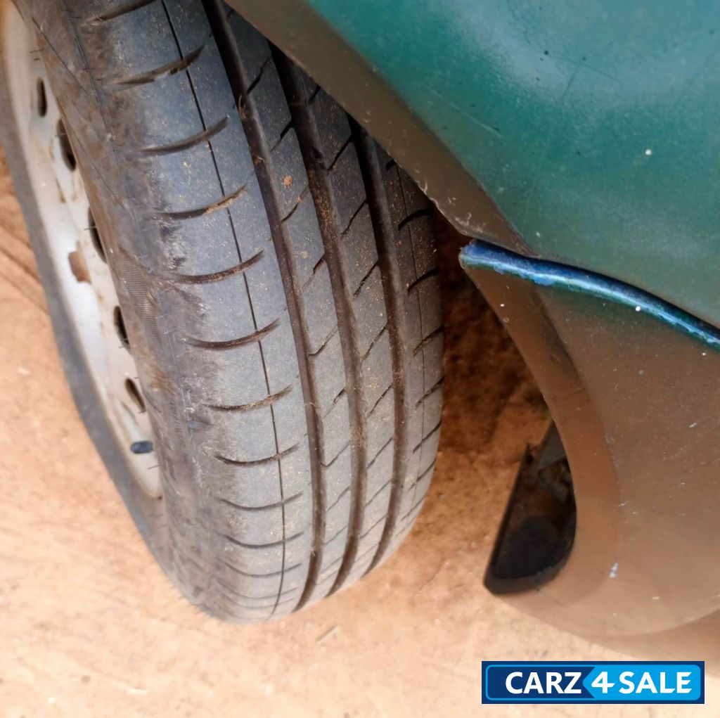 Palm Green Tata Indica Xeta