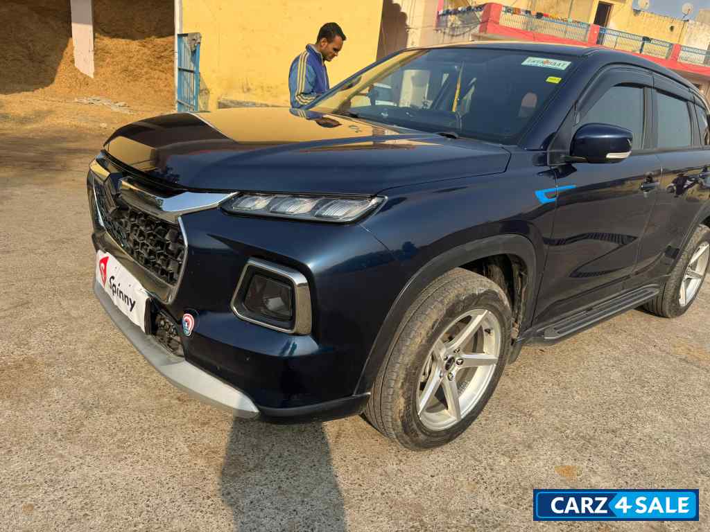 Maruti Suzuki Grand Vitara DELTA CNG