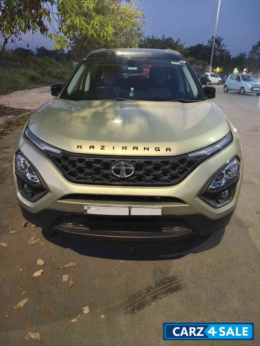 Beige Tata Safari Kaziranga limited edition XZA plus
