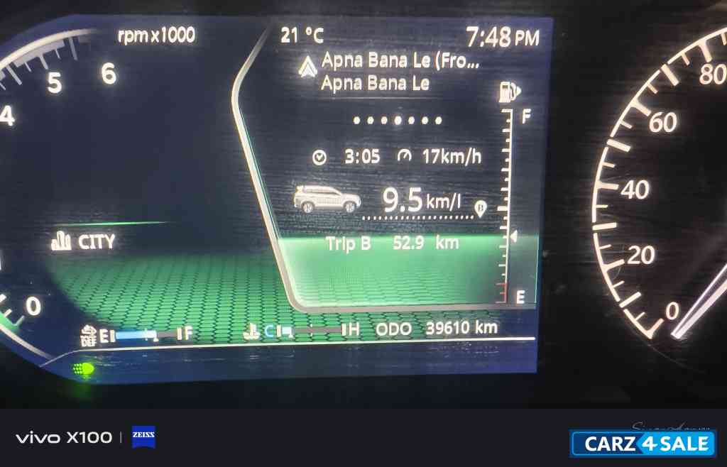 Oberon Black Tata Safari XZPLUSMT6S