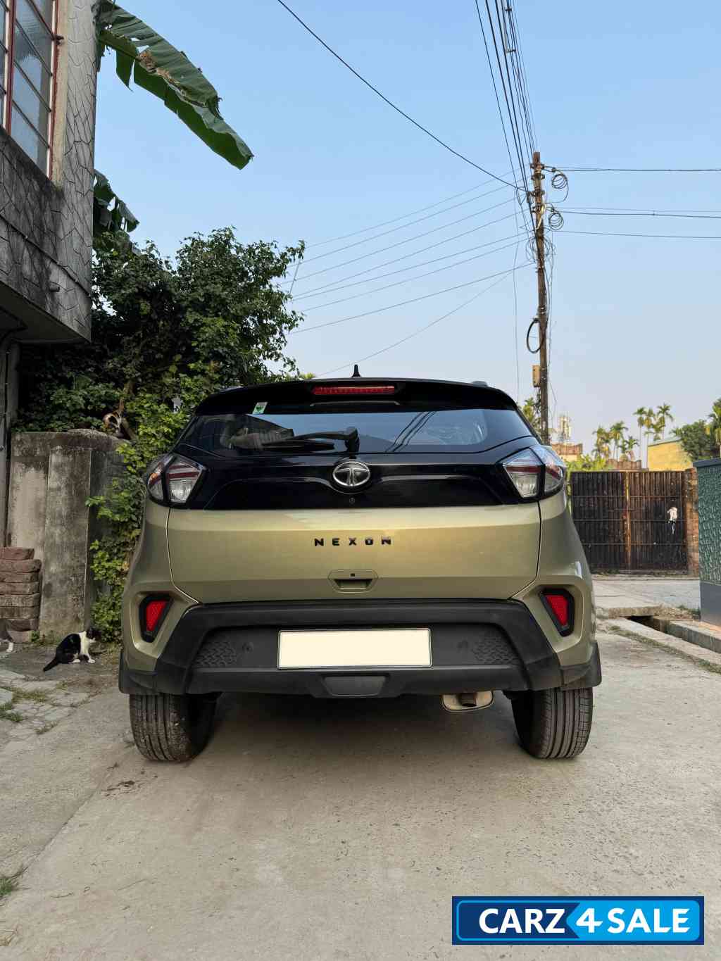 Grassland Beige Tata Nexon Kaziranga AMT Petrol