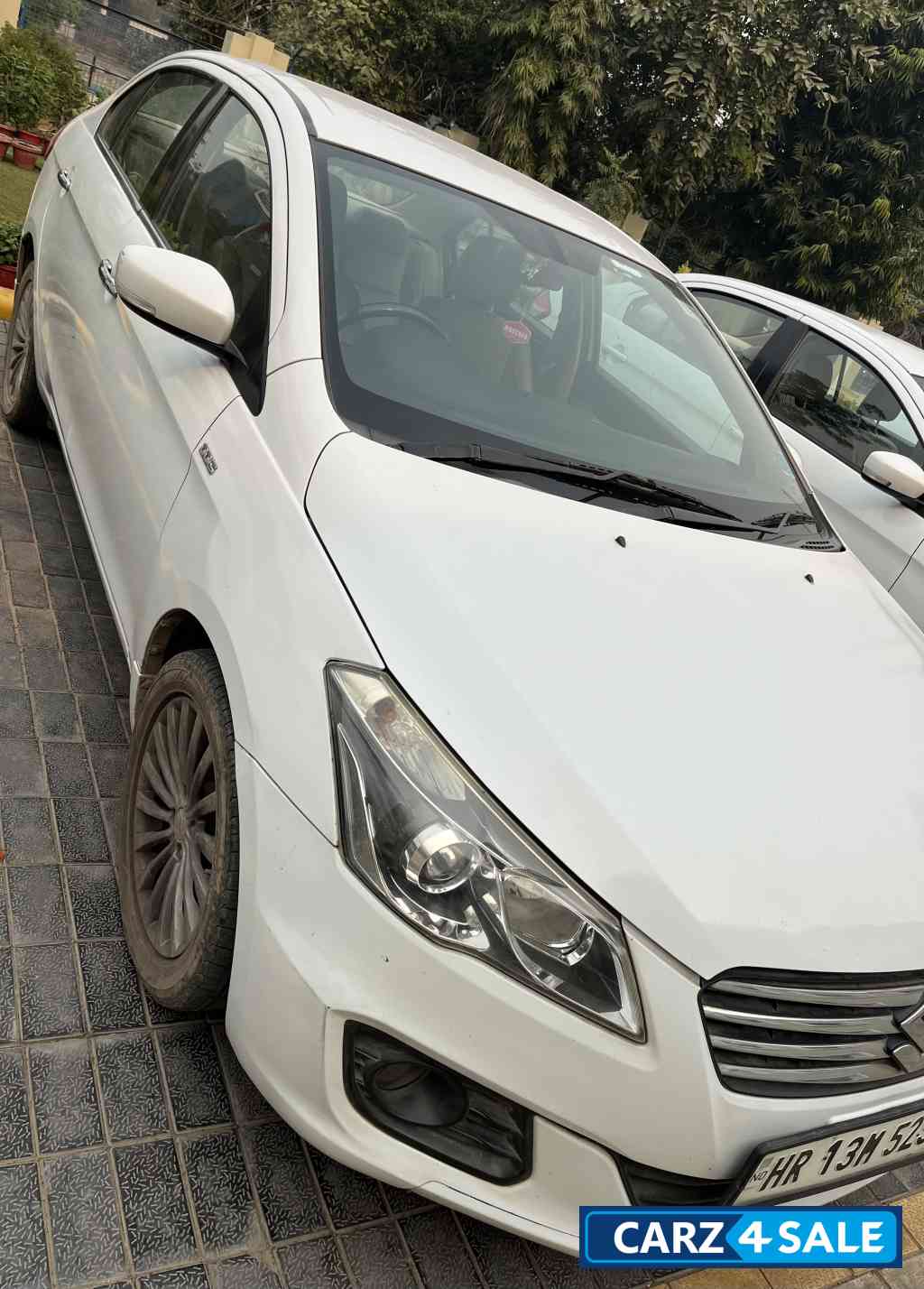 White Maruti Suzuki Ciaz Alfa top model diesel hybrid