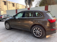 Maya Brown Audi Q5 Premium plus