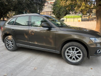 Maya Brown Audi Q5 Premium plus