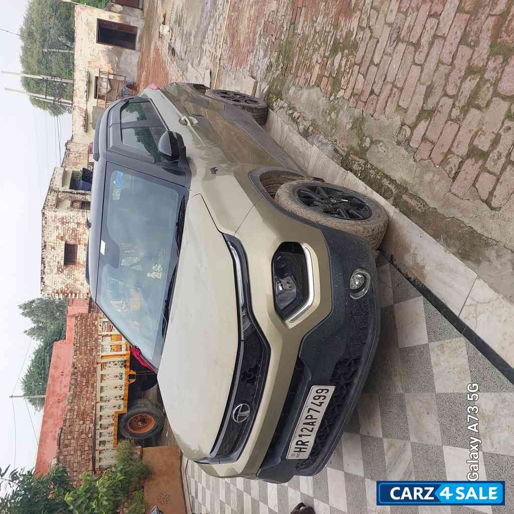 Tata Punch Kajiranga MT