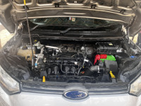 Gray Ford Ecosport Ambient