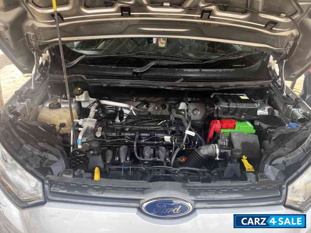 Gray Ford Ecosport Ambient