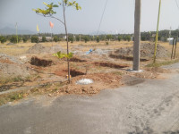 Hyundai Verna Diesel 2009 Model