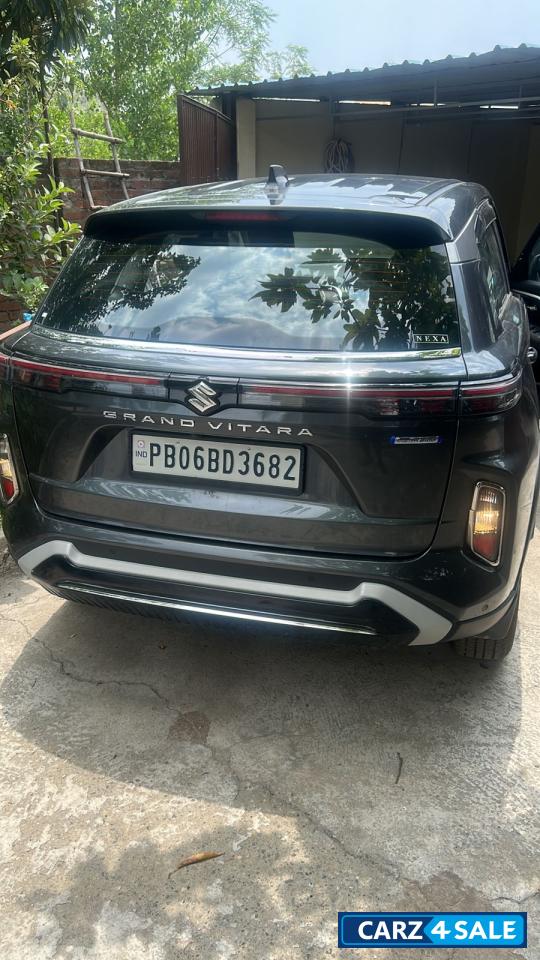 Maruti Suzuki Grand Vitara DELTA