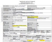 Ray Blue Maruti Suzuki Baleno Delta 1.2