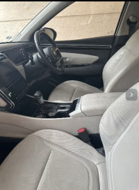 Hyundai Tucson Platinum 2A petrol