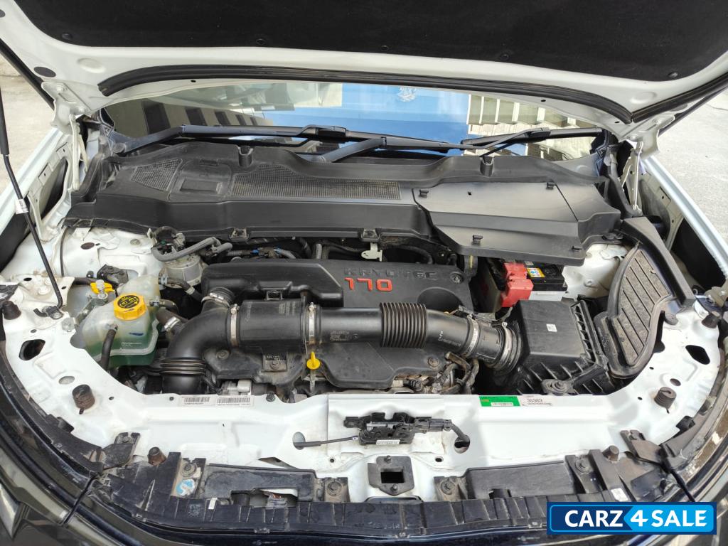 White & Black (dt) Tata Safari Accomplished Plus Dual Tone AT 7 STR