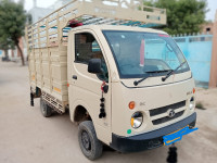 Irish_cream Tata  ACE GOLD P CX CAB CHASSIS