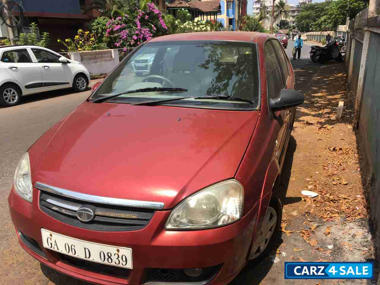 Salsa Red Tata  Indica